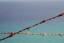 Cyprus 41